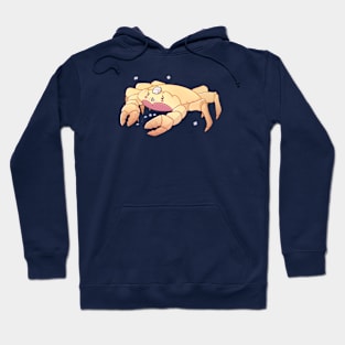 Concerned Crab Hoodie